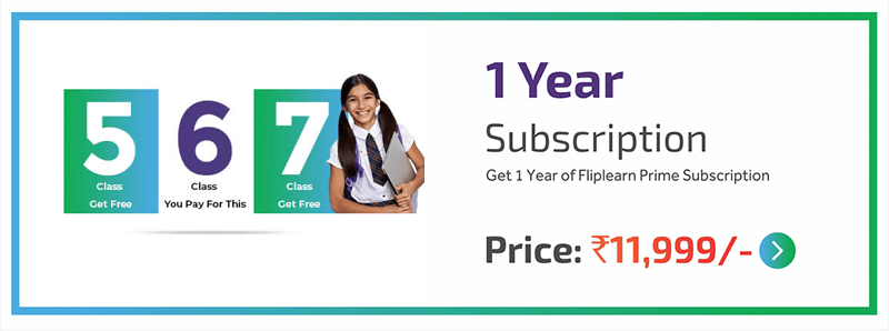 Fliplearn 1 Yers Subscrition Price
